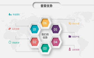 技術(shù)服務(wù)創(chuàng)業(yè) 高利潤項目與盈利指南