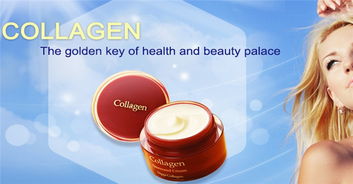 膠媚化妝品 視覺營銷的藝術——產品與店鋪裝修圖片解析