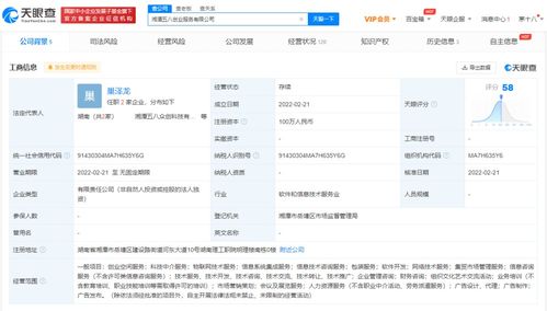 信息系統(tǒng)集成服務的核心價值與未來發(fā)展趨勢